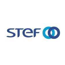 groupe STEF - MJ Consulting